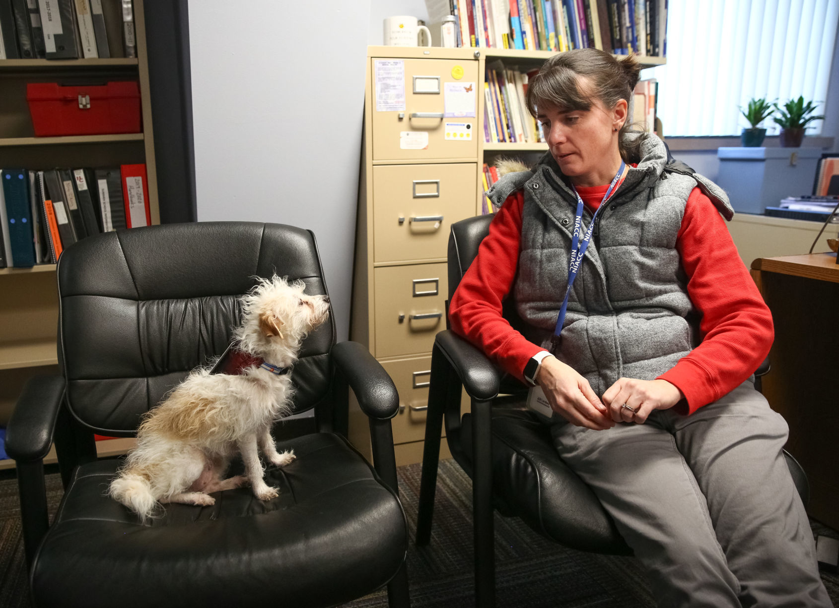 Nugget the therapy dog (2).jpg